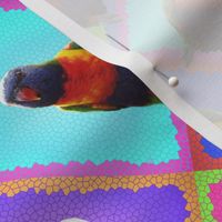 Rainbow Lorikeet Pop-Art Patchwork Mosaic! (large)