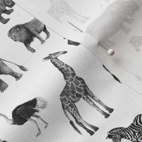 Black and Grey Safari Party on White - Smaller Scale
