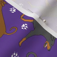 Trotting natural Doberman Pinschers and paw prints - purple