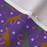 Tiny Trotting natural Doberman Pinschers and paw prints - purple