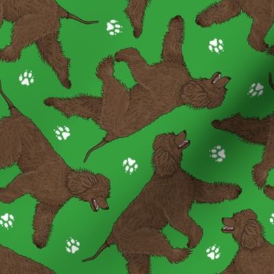 Trotting Irish Water Spaniels and paw prints - green
