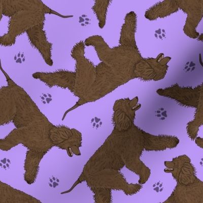 Trotting Irish Water Spaniels and paw prints - light purple