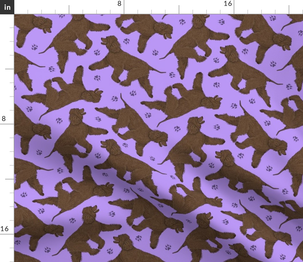 Trotting Irish Water Spaniels and paw prints - light purple