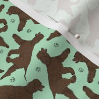 Tiny Trotting Irish Water Spaniels and paw prints - mint