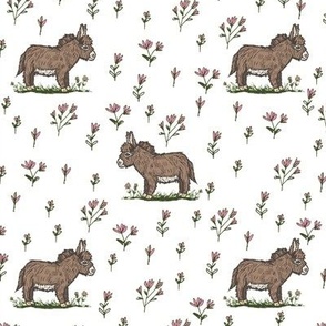 Brown Baby Donkey Pink Flower on White