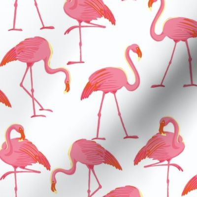 Flamingo