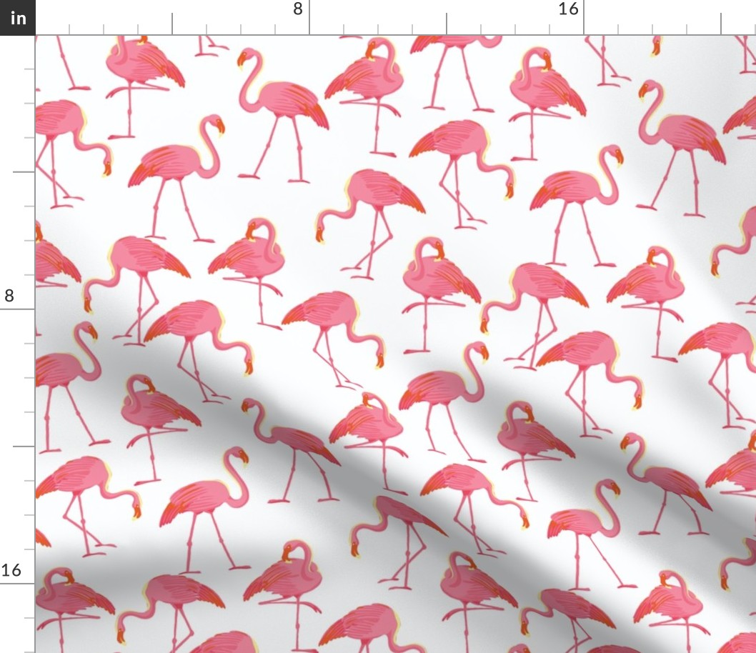 Flamingo