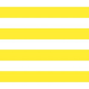 6" Yellow Stripes