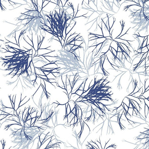 Gracilaria II Faded Indigo Silver Leaf on White 250