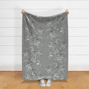 Climbing Clematis in Grey