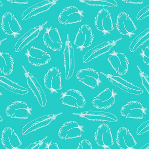 Feather Outlines on Turquoise