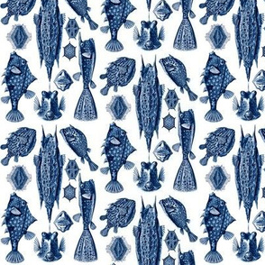 Ernst Haeckel Ostraciontes Bony Fish Dark Blue Ditsy