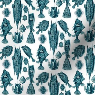 Ernst Haeckel Ostraciontes Bony Fish Cerulean Ditsy