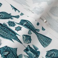 Ernst Haeckel Ostraciontes Bony Fish Cerulean Ditsy