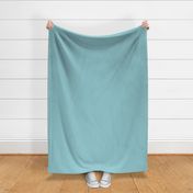 Duck egg blue - solid coordinate for 'Swimming with Plesiosaurs - aqua and lemon'