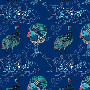 Guinea Fowl, Feathers, Polka dots and More