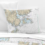 Mount Desert Island Nautical Chart