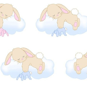 Bunny Rabbit Sleeping on Cloud