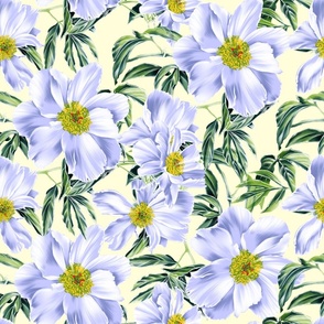 spring light blue peonies