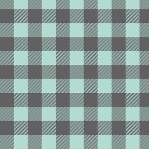 (small scale) dark mint and grey plaid - C20BS