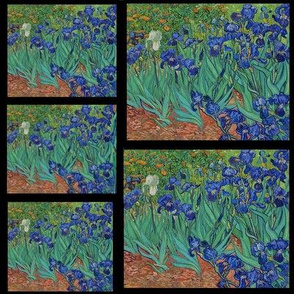 Van Gogh, Purple Iris