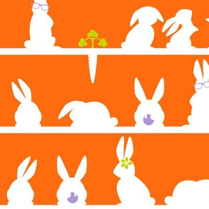 Rabbits lines ORANGE- Rabbit relatives