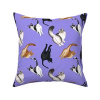 cat butts iris purple