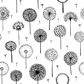  Abstract dandelion black and white print