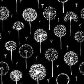 Abstract dandelion black and white print
