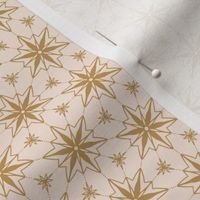 Ornament stars in blush 2.31x2.31