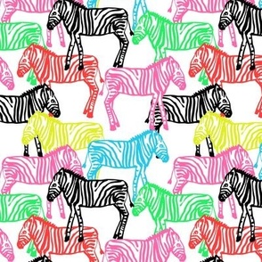 Colorful Baby Zebras