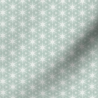 Ornament stars in Ice-1.6