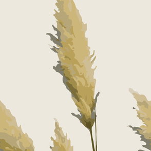 pampas grass on tan