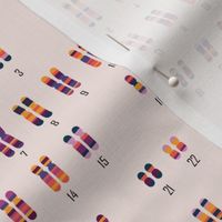 Karyotype XX