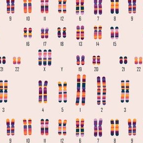 Karyotype XXX (Triple X Syndrome)