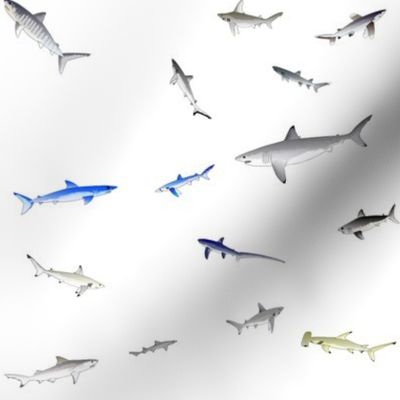  Ocean Shark Scatter