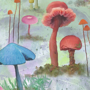 Large Delicate mushrooms