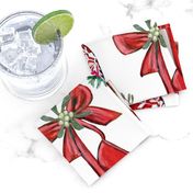 Snowflake Ballet shoes, candy canes,  poinsettia