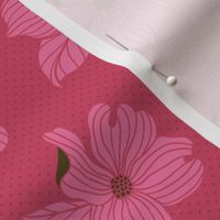 Dogwood Blossoms | Pink