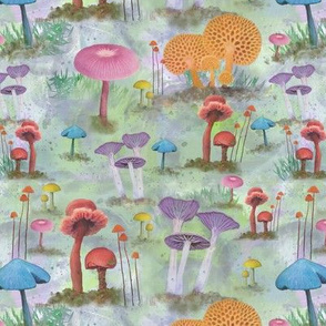 Small Delicate mushrooms