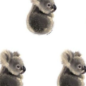 Baby Koala 