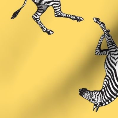 Zebra on yellow - Small