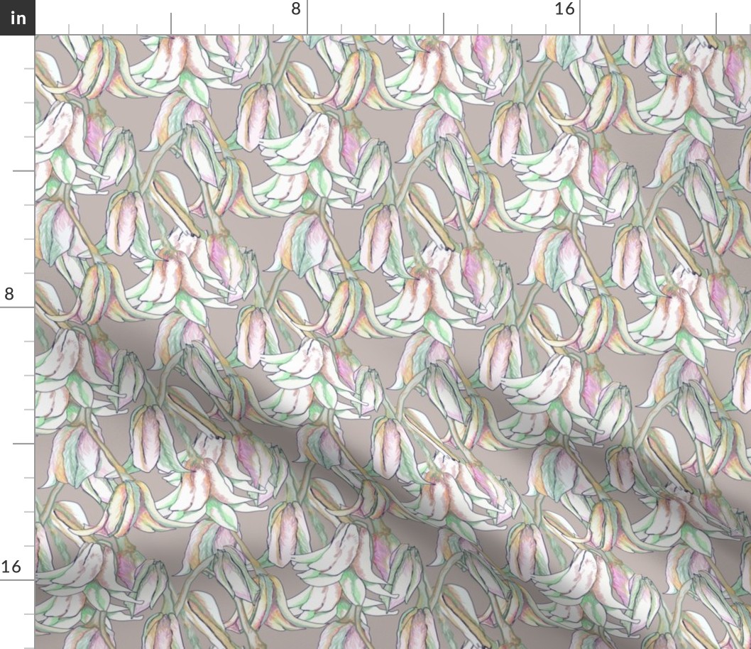 Pastel Lilies Taupe 