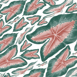 Watercolor Caladiums- Tropical Foliage- Pink Green Leaves- Emerald Blush Rust- Large Scale