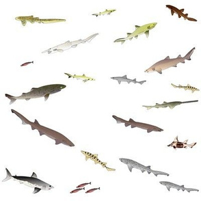 Deep Sea Sharks Scatter