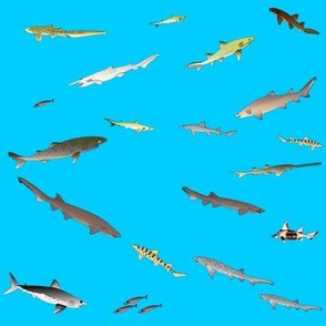 Deep Sea Sharks Scatter on sea blue sm