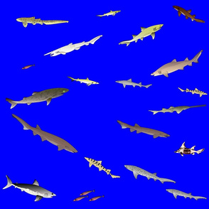 Deep Sea Sharks Scatter on deep blue (lg)