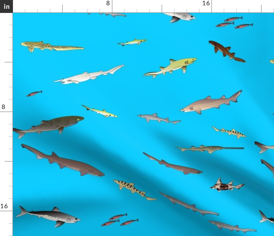  Deep Sea Sharks Scatter on sea blue (lg)