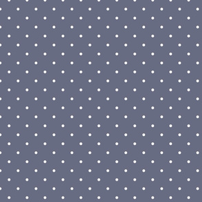 pewter swiss dots