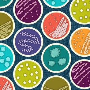 Petri Dishes (Large)